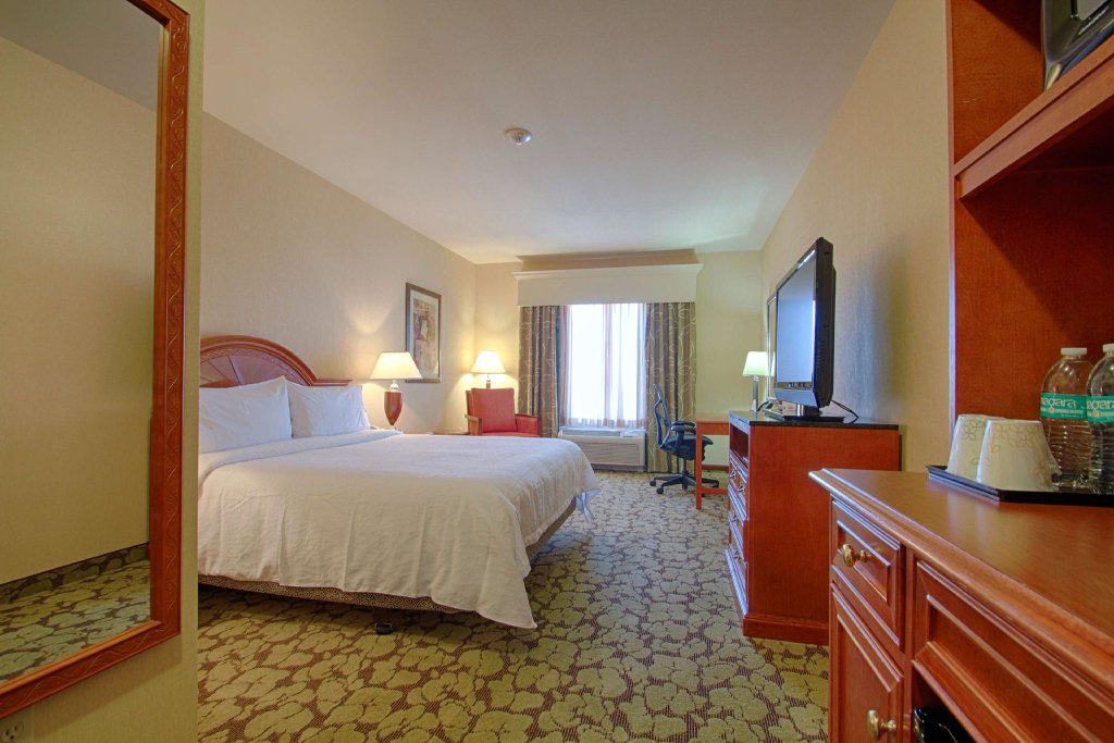 Standard Double room Hilton Garden Inn Las Vegas Strip South