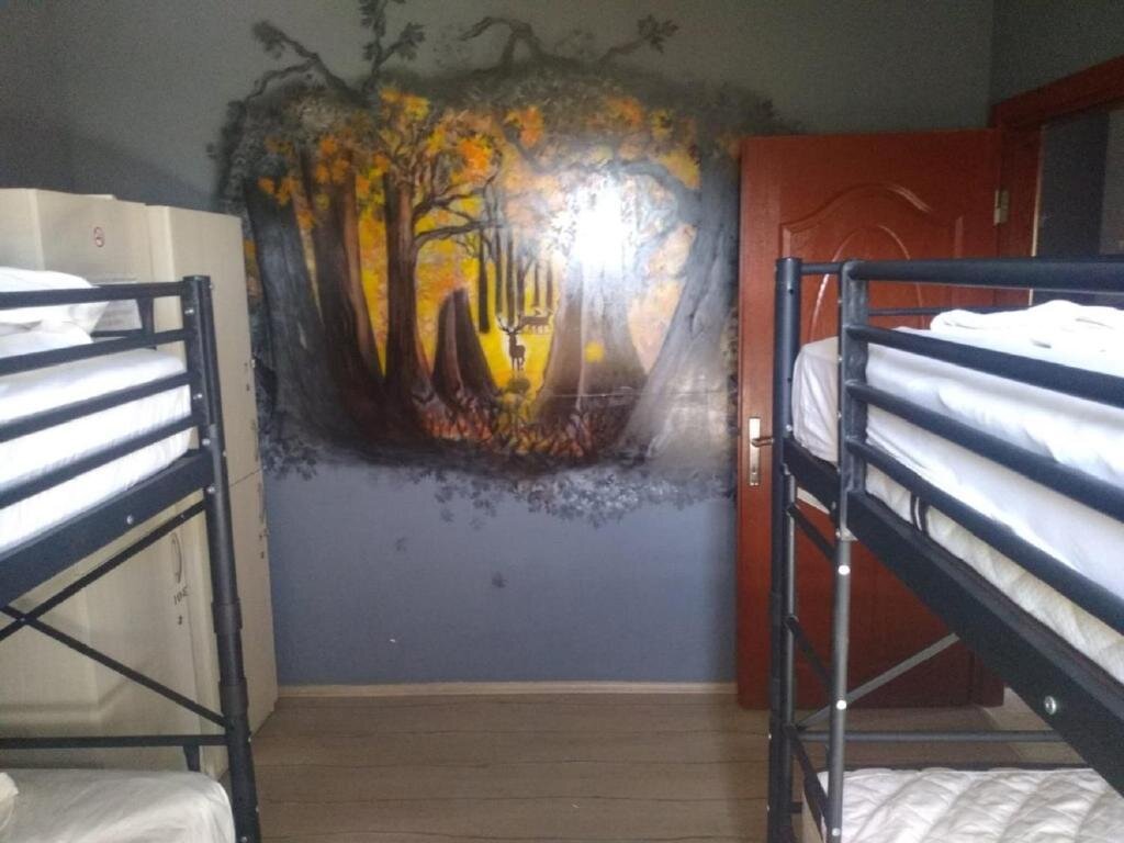Кровать в общем номере (женский номер) Chillsteps Hostel