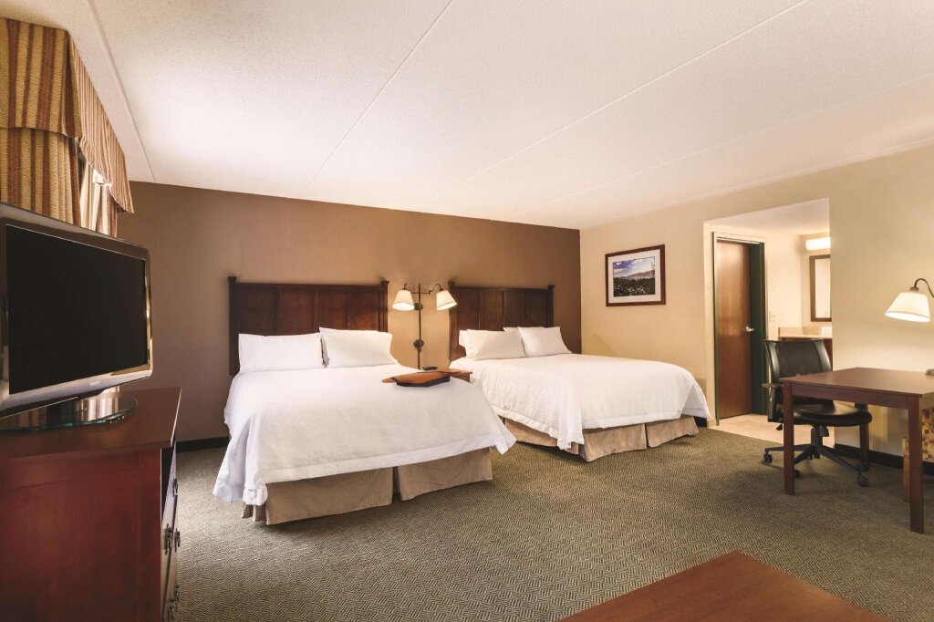 Двухместный люкс c 1 комнатой Hampton Inn & Suites Lake George