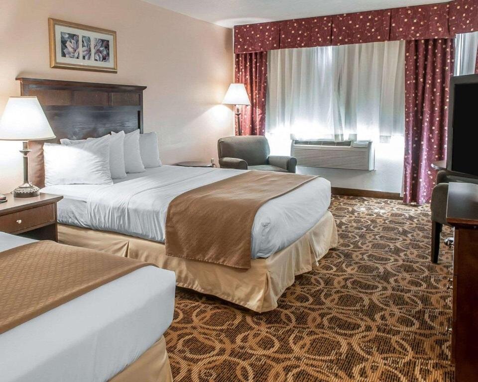 Standard room Quality Inn & Suites