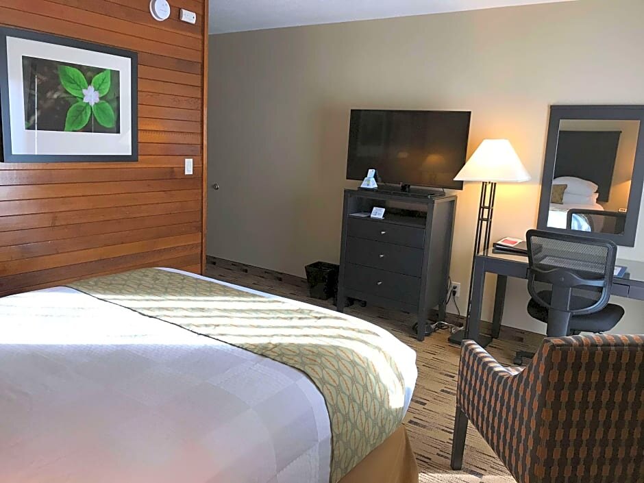 Economy Zimmer Best Western Plus Hood River Inn