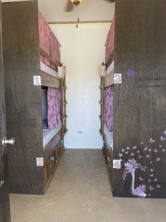 Cama en dormitorio compartido (dormitorio compartido femenino) Royal Rat Hostel