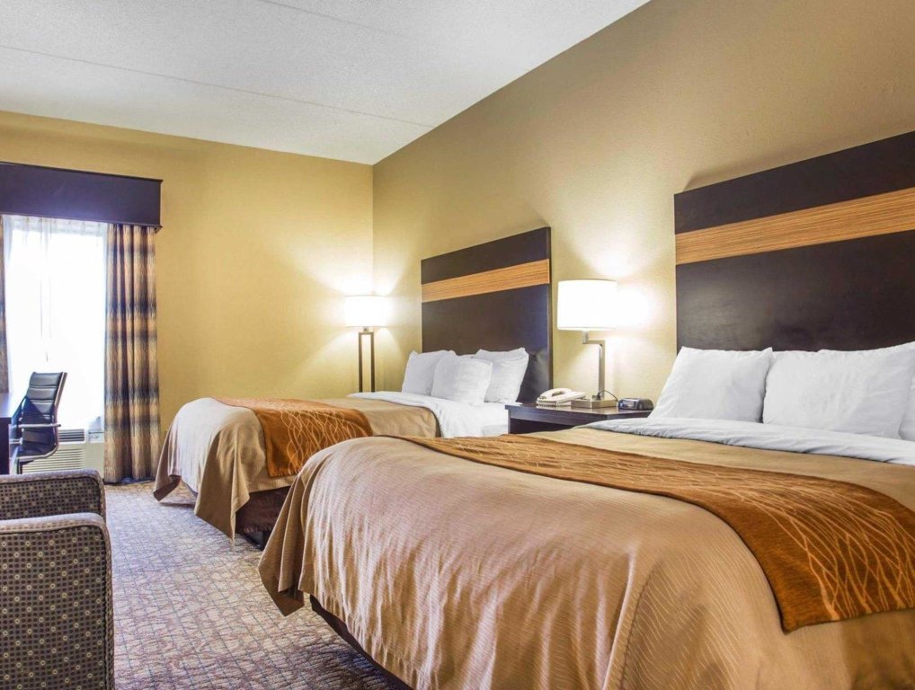 Двухместный номер Standard Comfort Inn & Suites at Stone Mountain