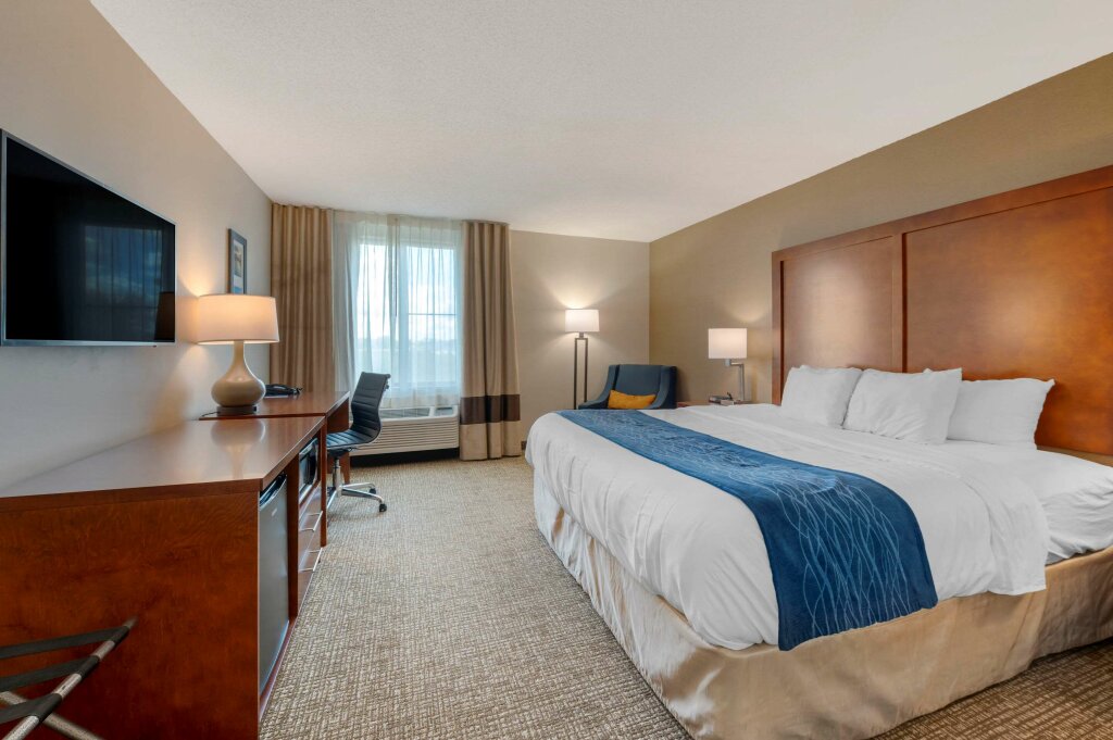 Suite Comfort Inn Anderson South