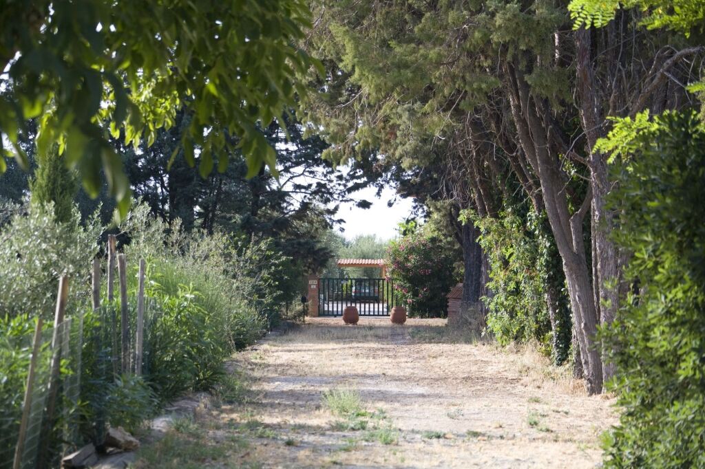 Agriturismo La pulledraia 格罗塞托