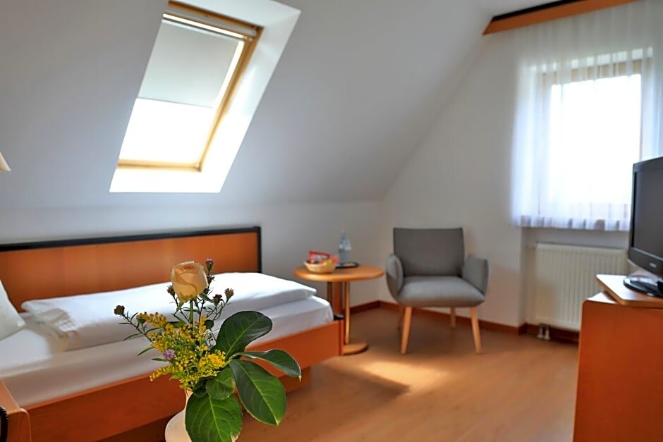 Habitación Confort Landidyll Hotel Zum Alten Schloss