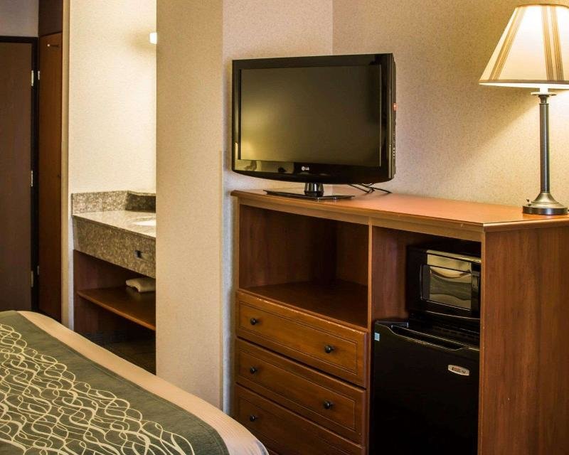 Standard chambre Comfort Inn & Suites Diamondale - Lansing
