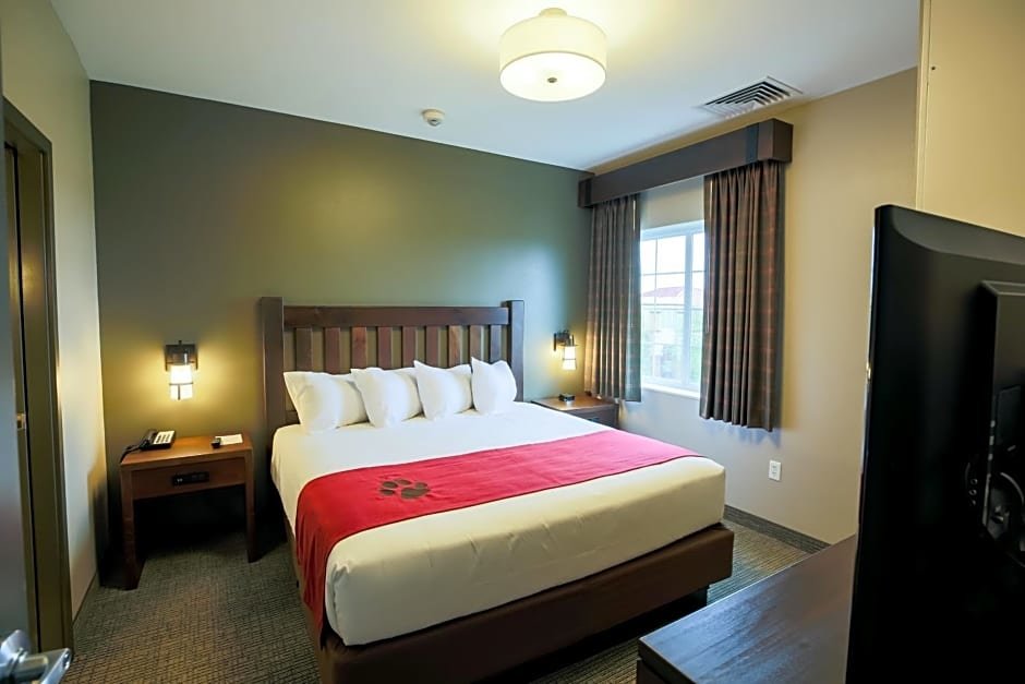 Suite 2 camere Great Wolf Lodge Chicago/Gurnee