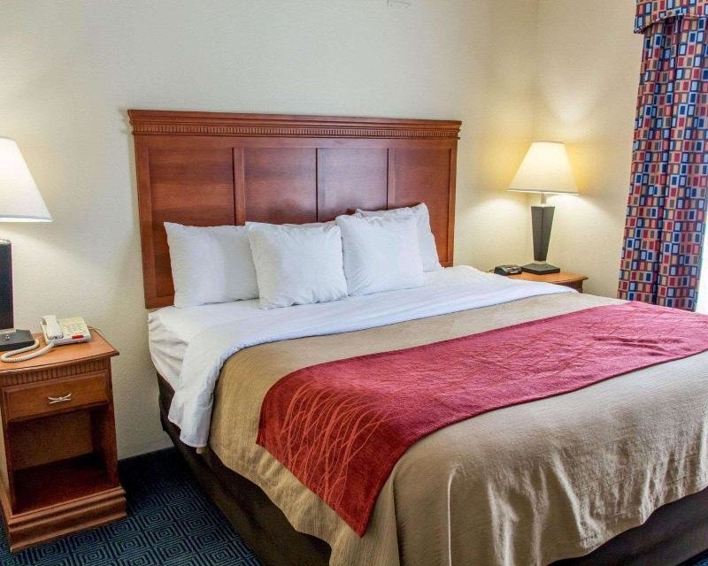 Люкс Standard Comfort Inn & Suites Statesboro - University Area