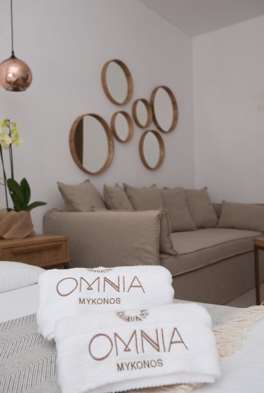 Camera Deluxe con vista sulla piscina Omnia Mykonos Boutique Hotel & Suites