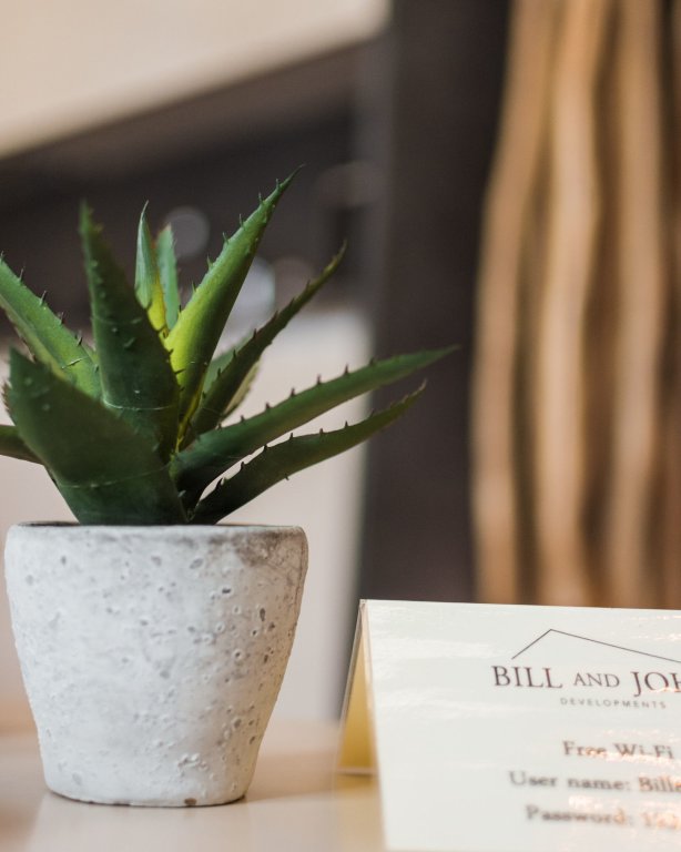 Executive Suite Bill & John Apartments & Villas