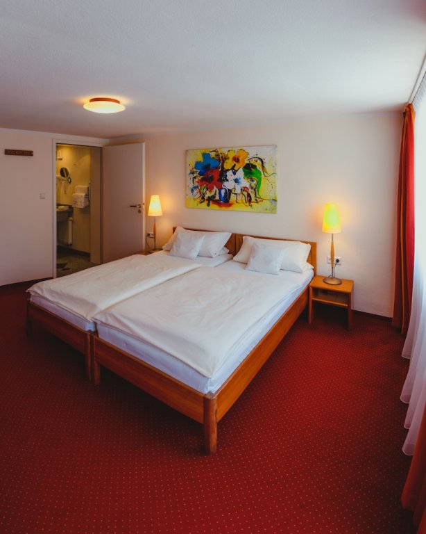 Standard Double room Hotel am Mühlbach