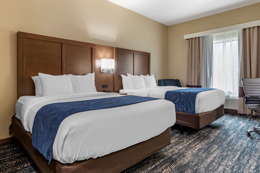 Четырёхместный номер Standard Comfort Inn & Suites Downtown near University