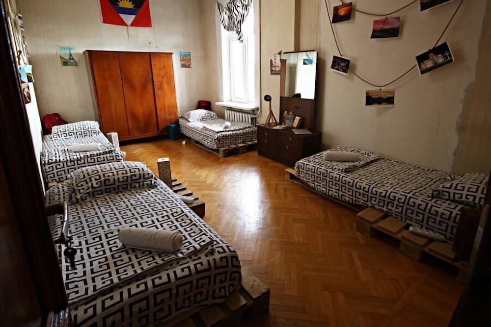 Bett im Wohnheim Dingo Backpackers Hostel