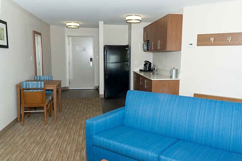 Suite doble 1 dormitorio Holiday Inn Express Hotel & Suites Madison, an IHG Hotel