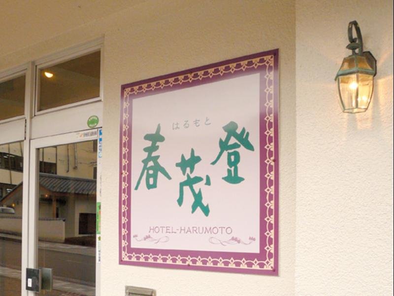 Одноместный номер Standard Hotel Harumoto