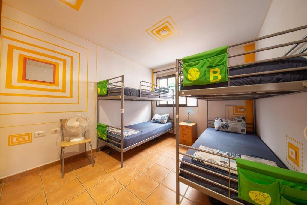 Bett im Wohnheim La Tortuga Hostel