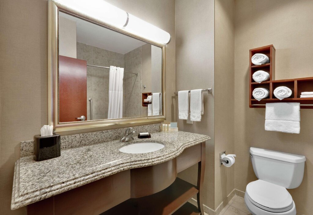 Четырёхместный номер Standard Hampton Inn & Suites Abilene I-20