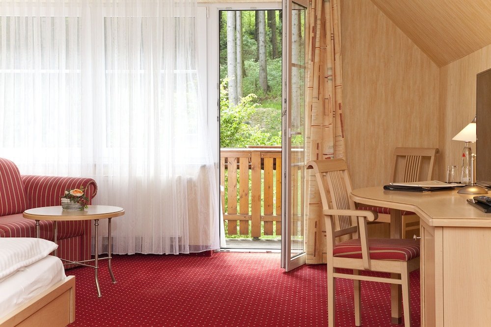Одноместный номер Standard c 1 комнатой с балконом Wald Hotel Willingen