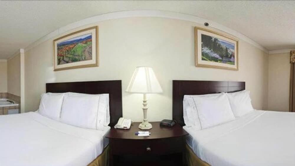 Standard room Holiday Inn Express Hotel & Suites Plainview, an IHG Hotel