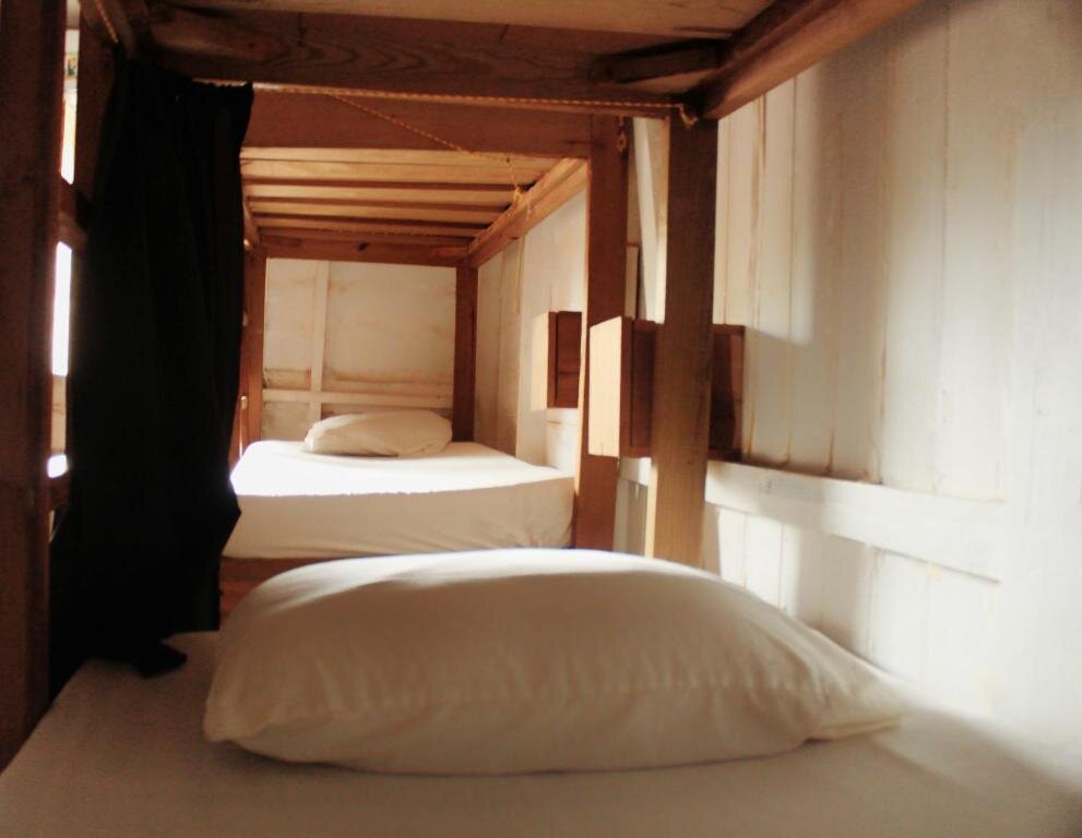 Кровать в общем номере Twin Fin Hostels