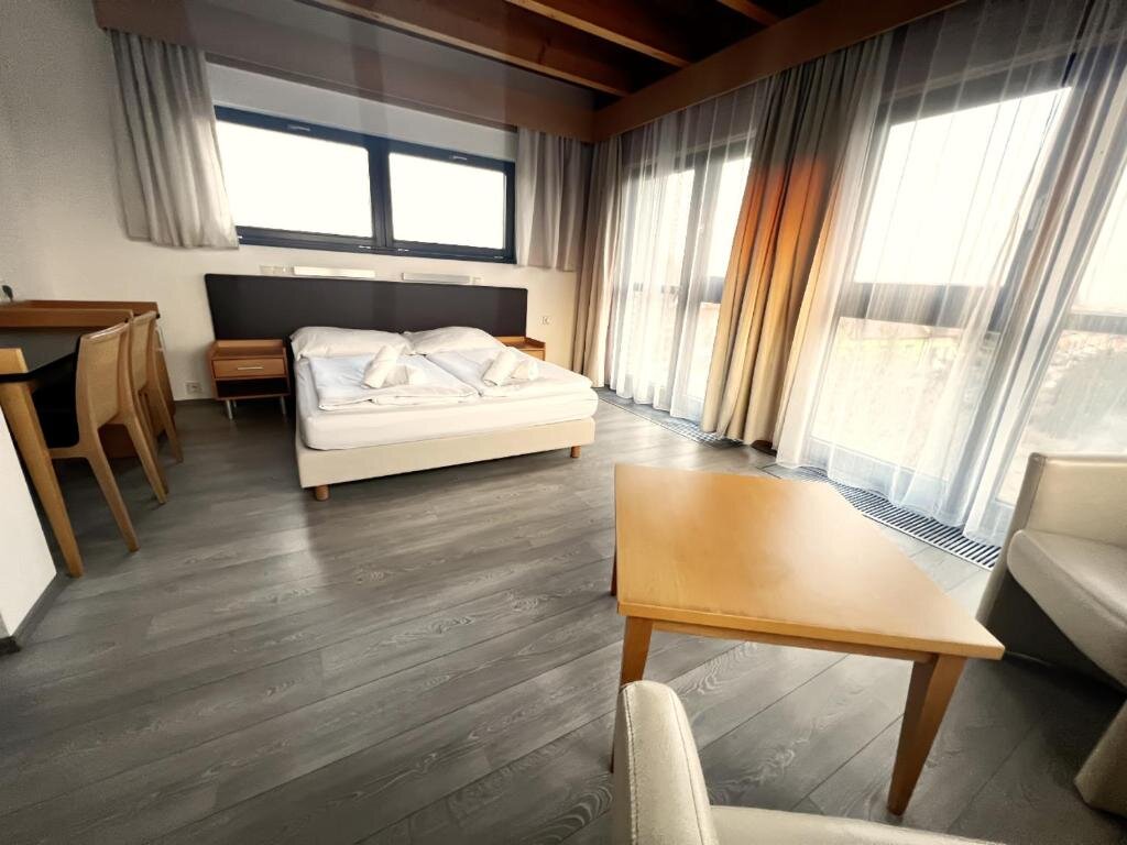 Standard Double room Hotel Žabčice
