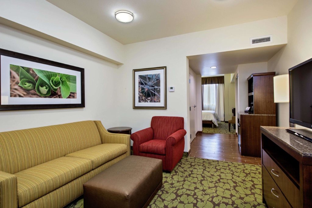 Двухместный люкс c 1 комнатой Hilton Garden Inn Lincoln Downtown/Haymarket