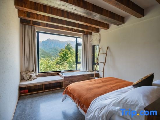 Suite Forest homestay at sunrise