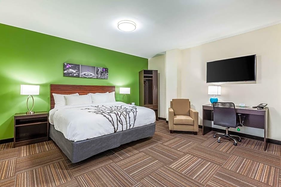 1 Bedroom Suite Van Wyck Hotel & Suites near JFK Airport