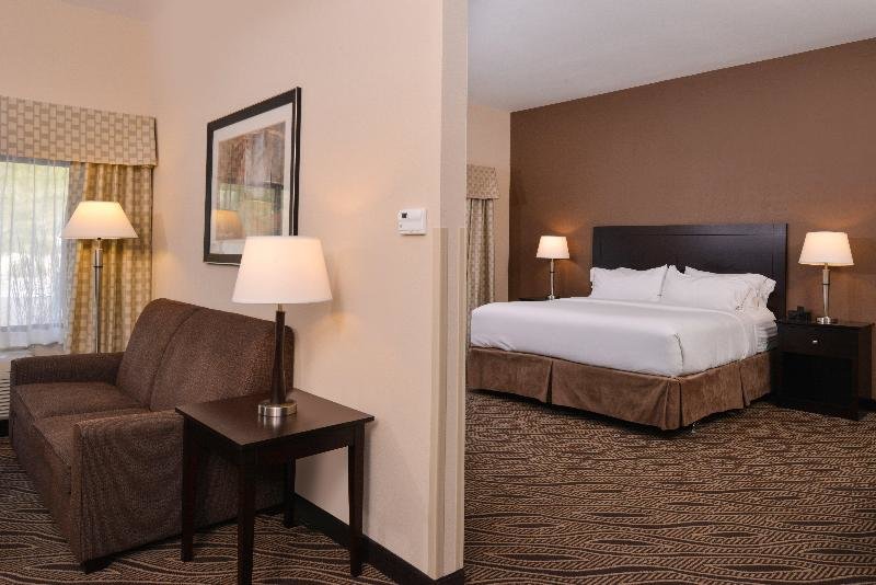 Suite Holiday Inn Express and Suites Washington Meadow L