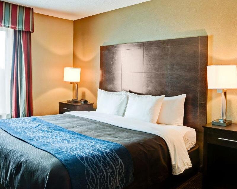 Suite Business Comfort Inn & Suites Little Rock