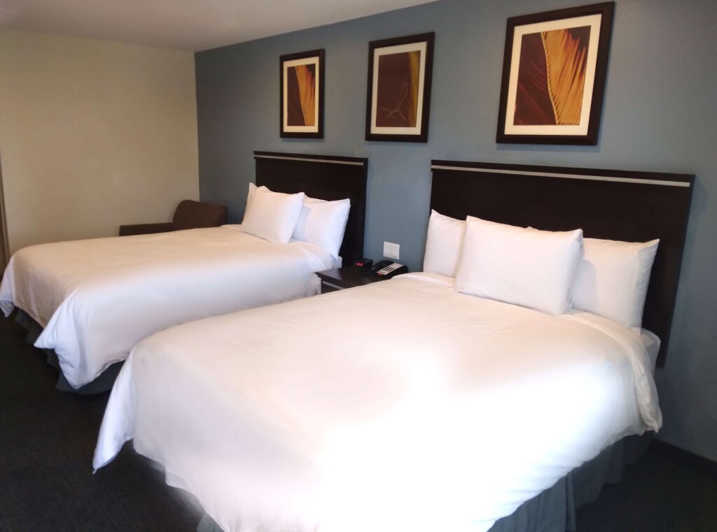 Standard Vierer Zimmer SureStay Hotel