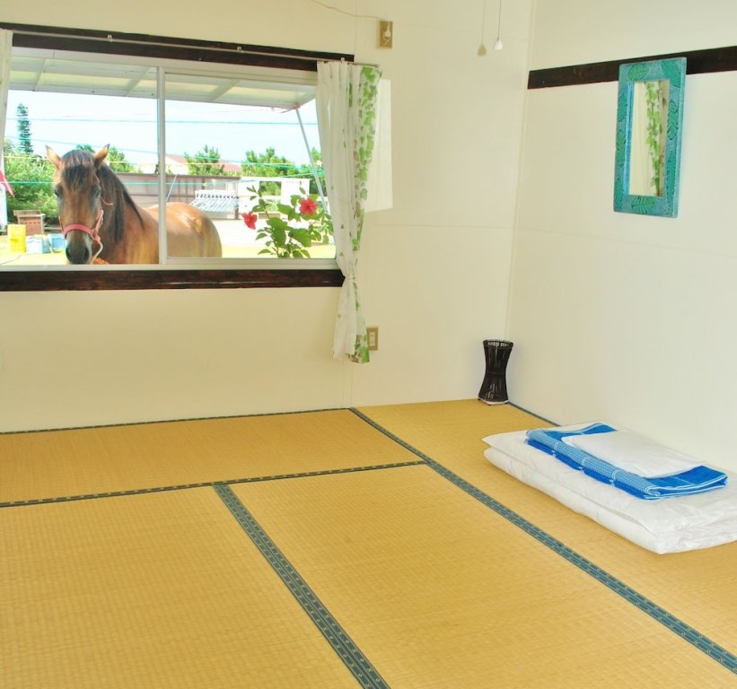 Standard Zimmer Iriomotejima Monsoon - Hostel