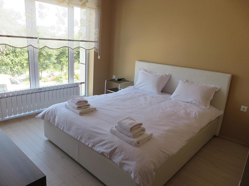 Standard Double room with river view Hotel Dunav