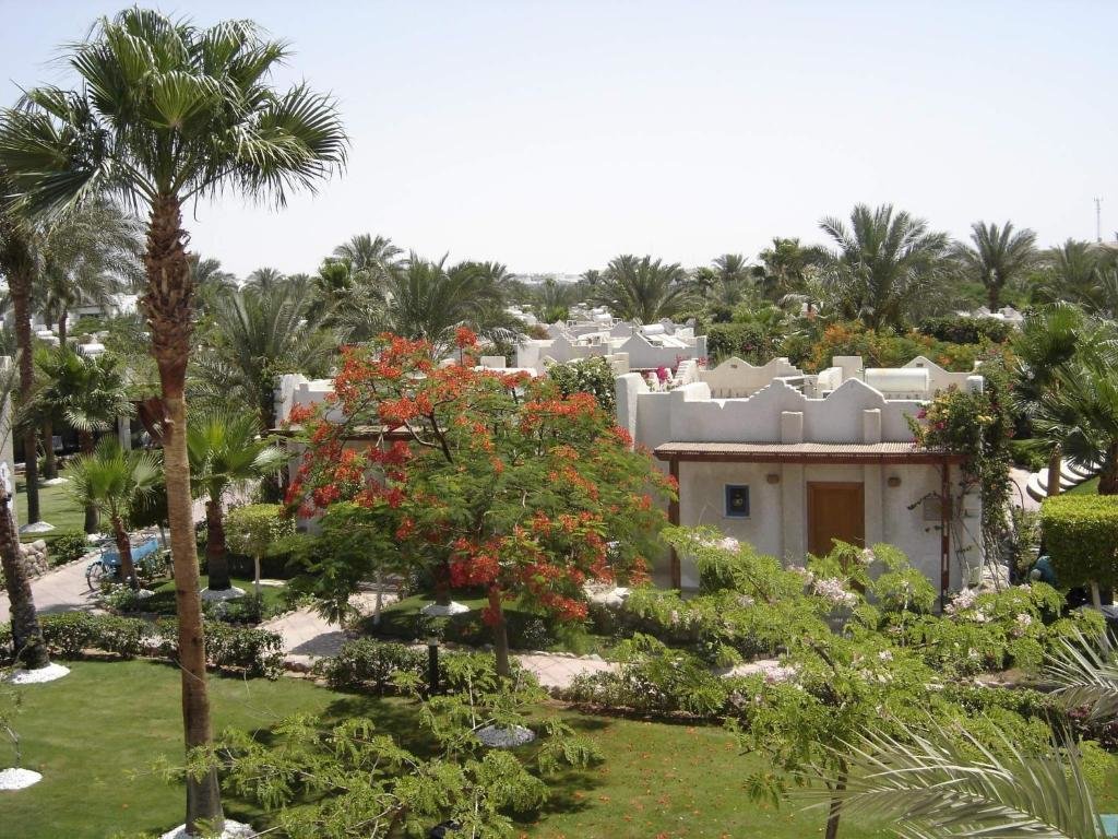 Habitación doble Superior con vista a la piscina Fayrouz Resort