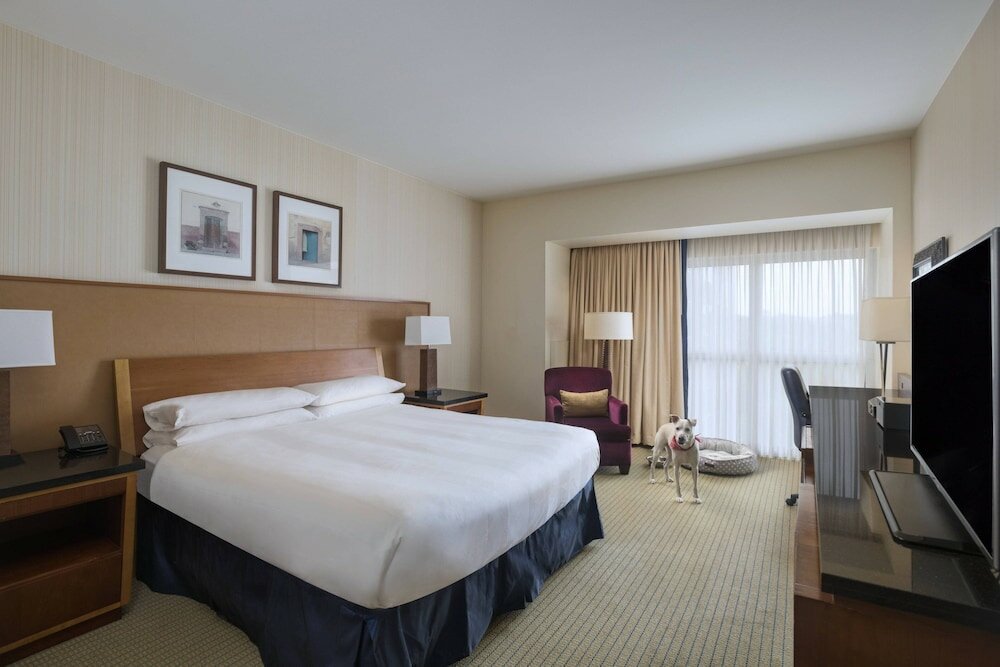 Suite 1 Schlafzimmer Marriott Dallas/Fort Worth Westlake