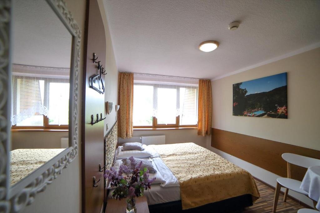 Standard Double room with view Ośrodek Wypoczynkowy Pod Dębem
