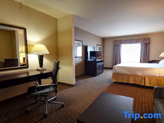 Двухместный люкс Holiday Inn Express & Suites Del Rio, an IHG Hotel
