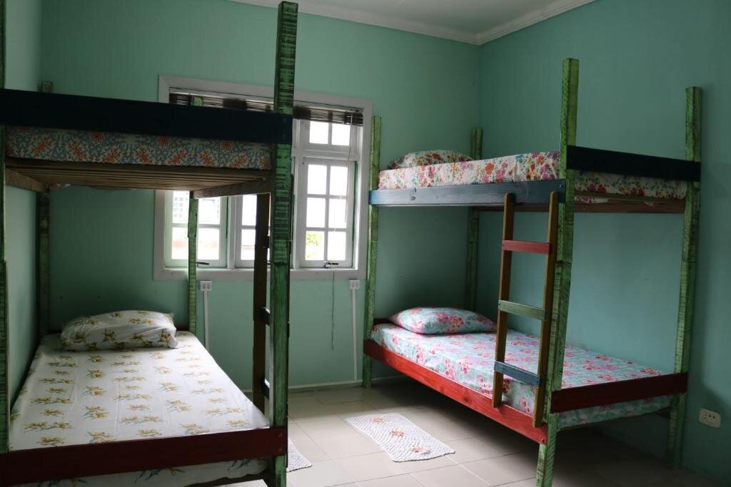Кровать в общем номере (женский номер) Hostel 33 Brazil