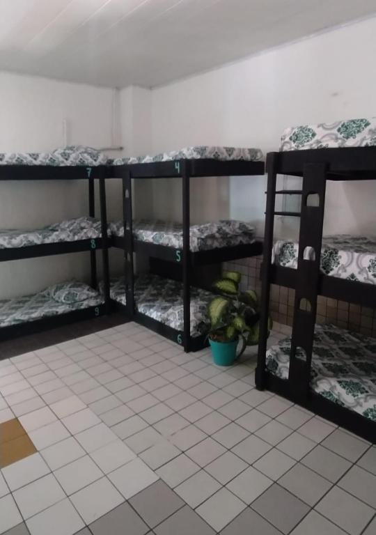 Bed in Dorm Proxima Estacion Hostel