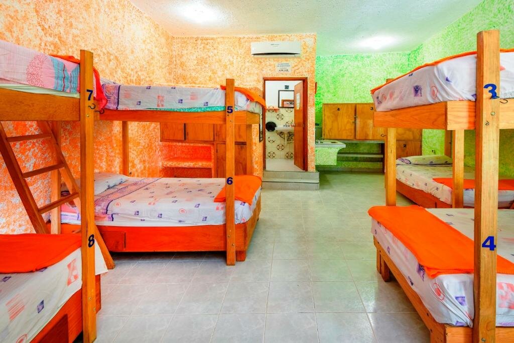 Кровать в общем номере Amigos Hostel Cozumel