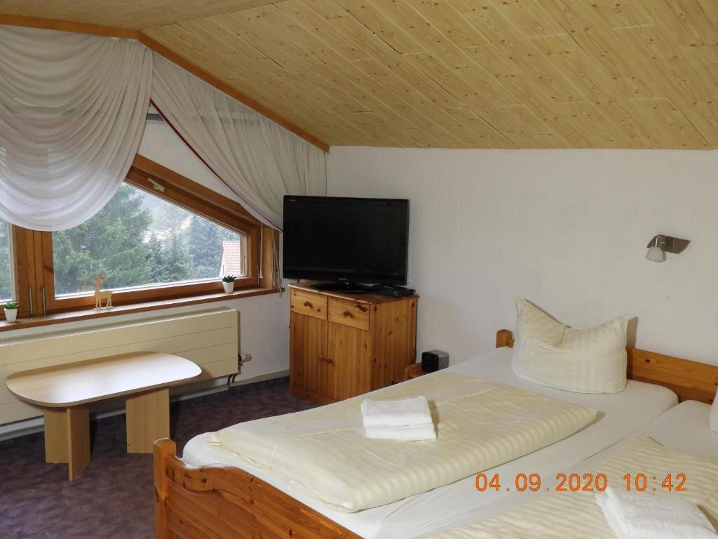 Standard Double room with mountain view Pension Raststüb'l