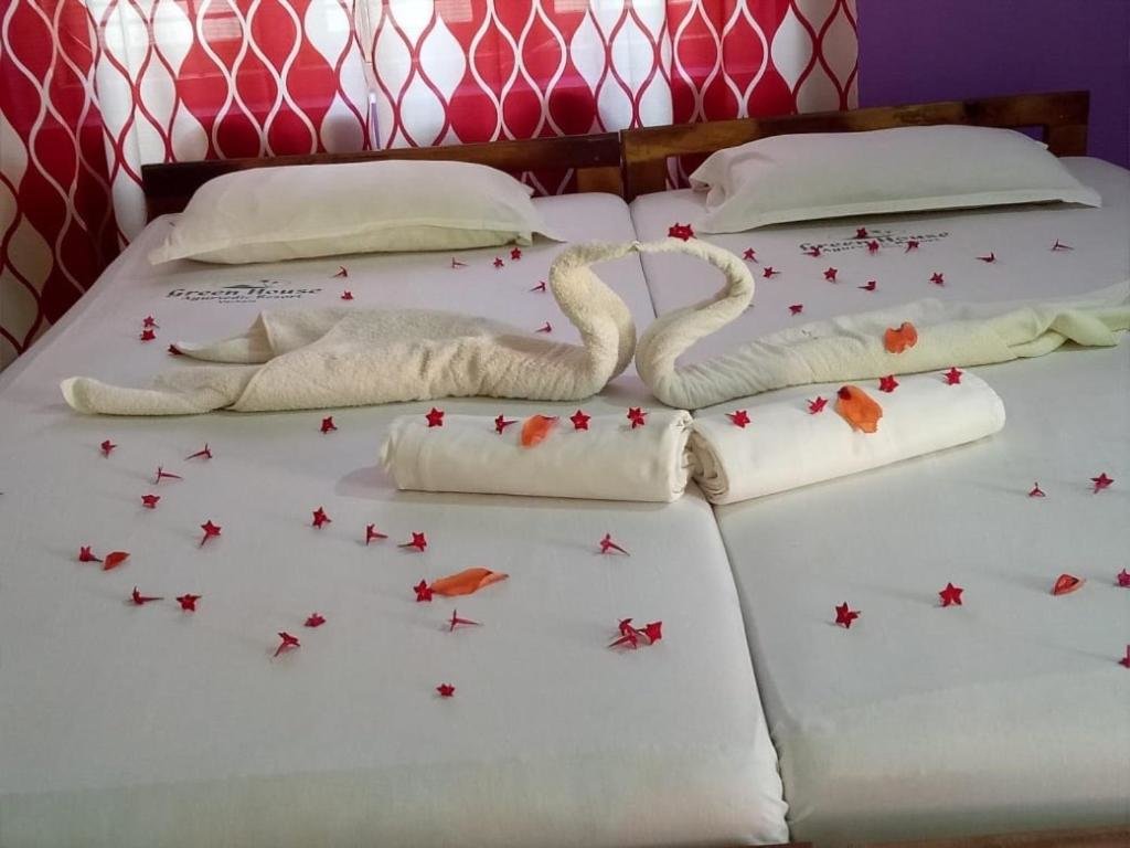 Standard Zimmer Ayushi Ayurvedic Retreat
