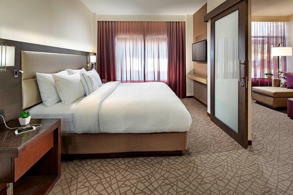 Люкс c 1 комнатой с видом на парк Residence Inn by Marriott at Anaheim Resort/Convention Center