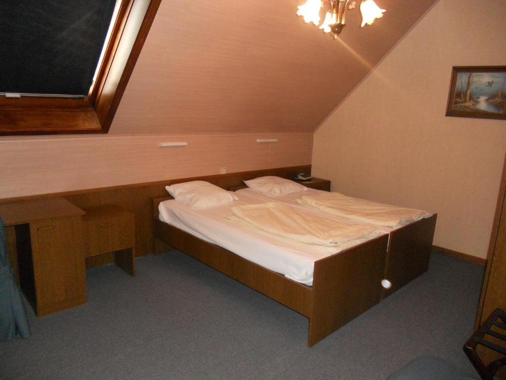 Standard Double room Hotel Ten Putte