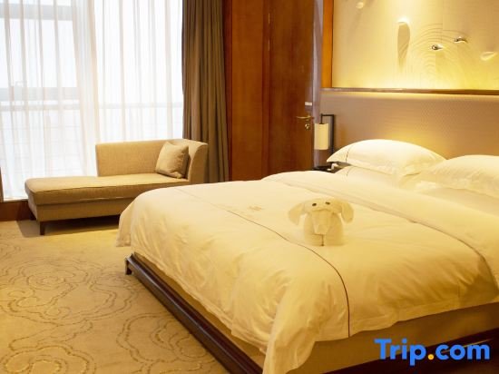 Suite De lujo 1 dormitorio Yangzhou Changqing International Hotel