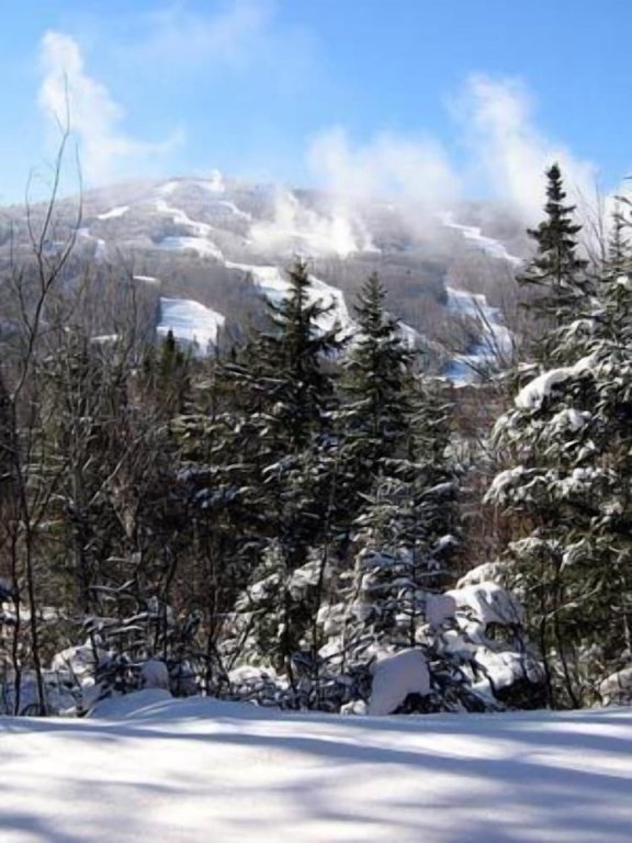 5 Bedrooms Premier room with mountain view Townhomes at Bretton Woods