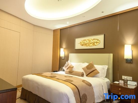 Suite Xian Tianyu Fields International Hotel