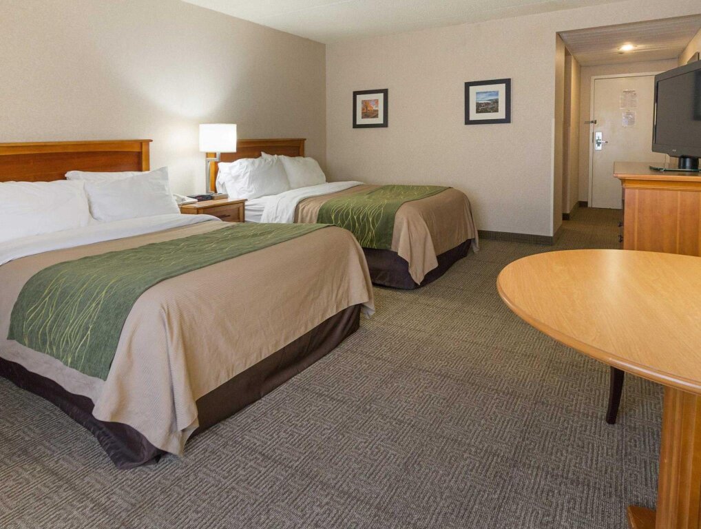 Четырёхместный номер Standard Comfort Inn & Suites Syracuse-Carrier Circle