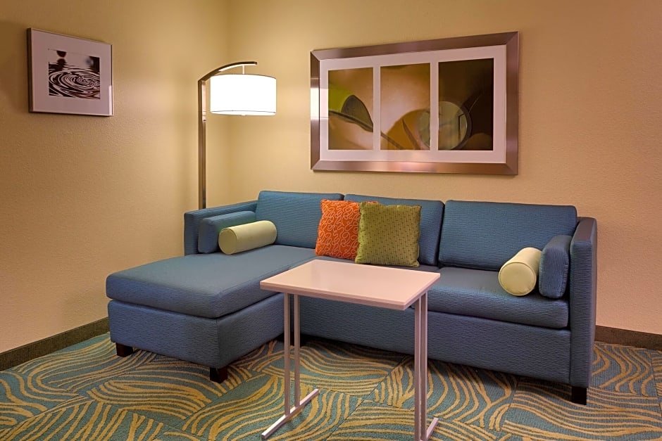 Двухместный люкс SpringHill Suites by Marriott Cedar City